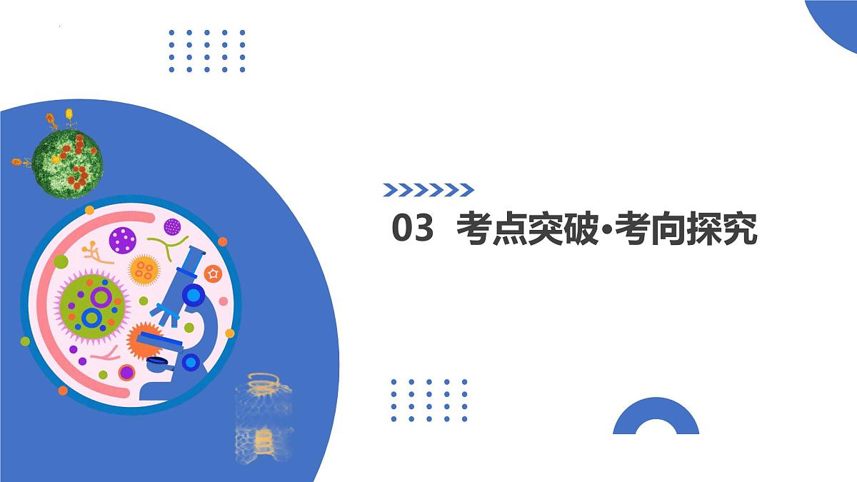 第19讲++DNA是主要的遗传物质（复习课件）（北京专用）2026年高考生物一轮复习讲练测第7页
