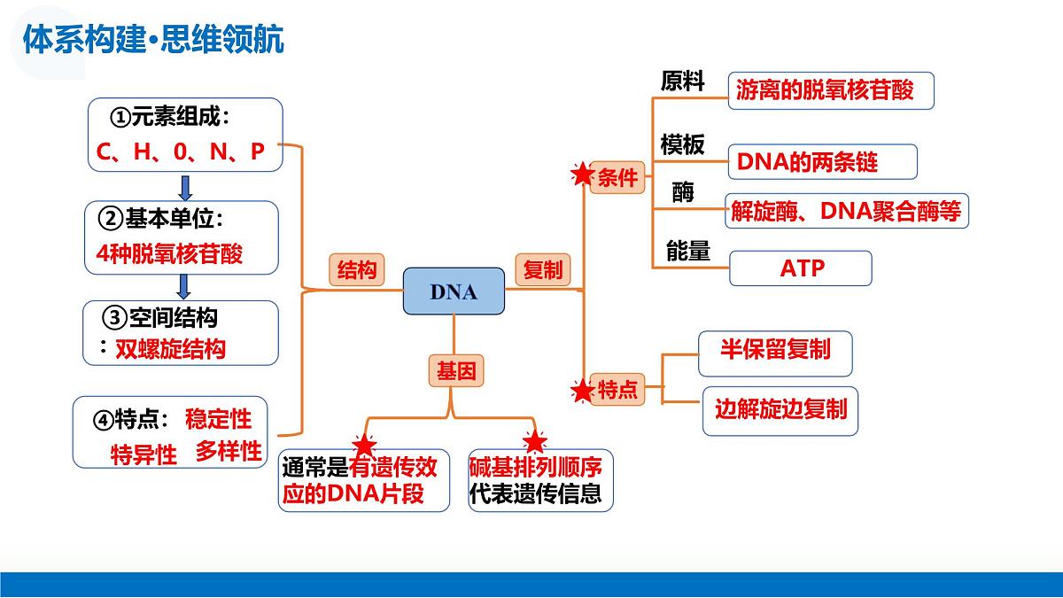 第19讲+DNA分子的结构、复制与基因的本质（复习课件）2026年高考生物一轮复习讲练测第7页