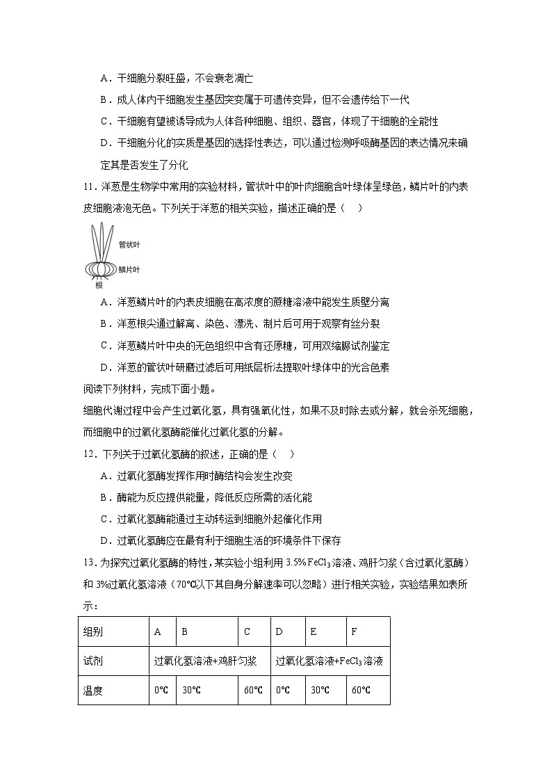 2024-2025学年浙江省绍兴市上虞区高一下学期学考适应性考试生物试题（附答案解析）第3页