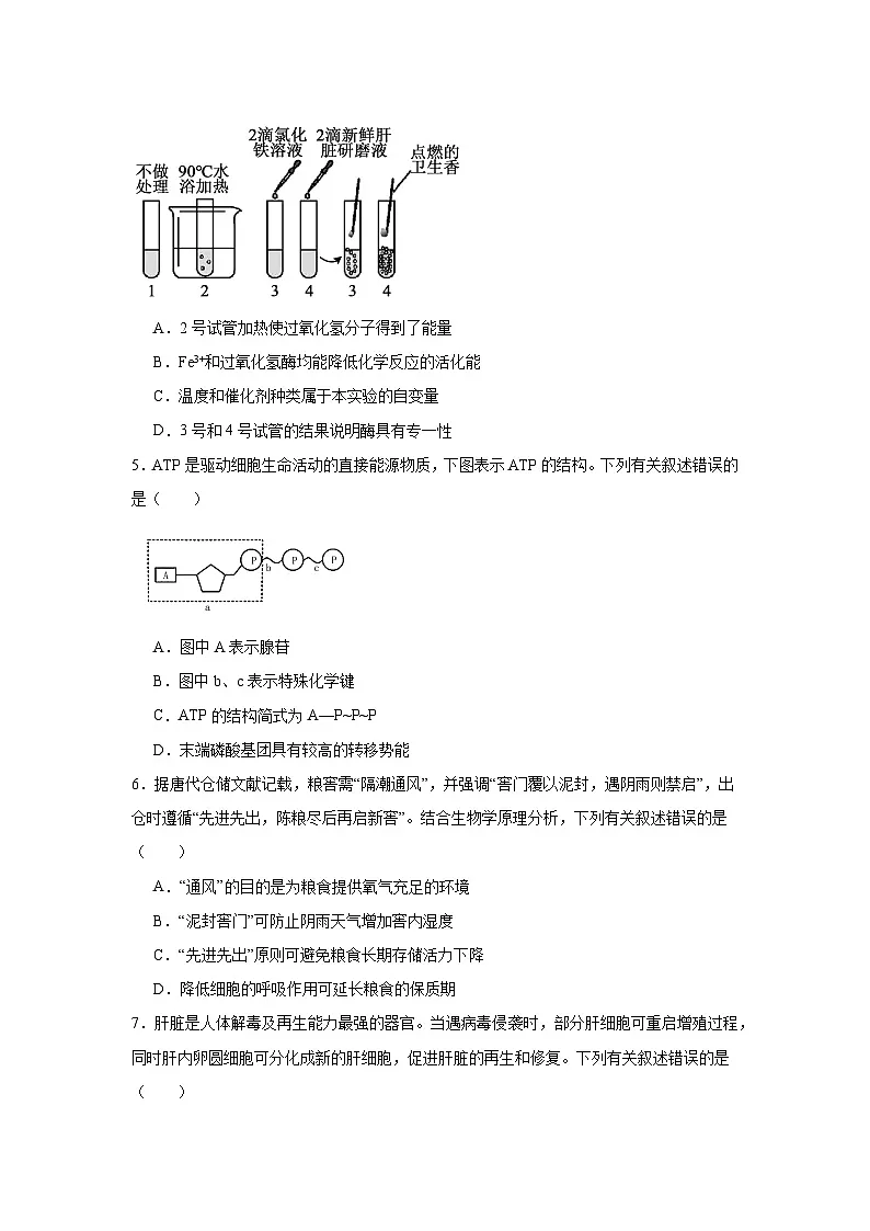 2025年山西省普通高中学业水平合格性考试适应性生物测试试题（附答案解析）第2页