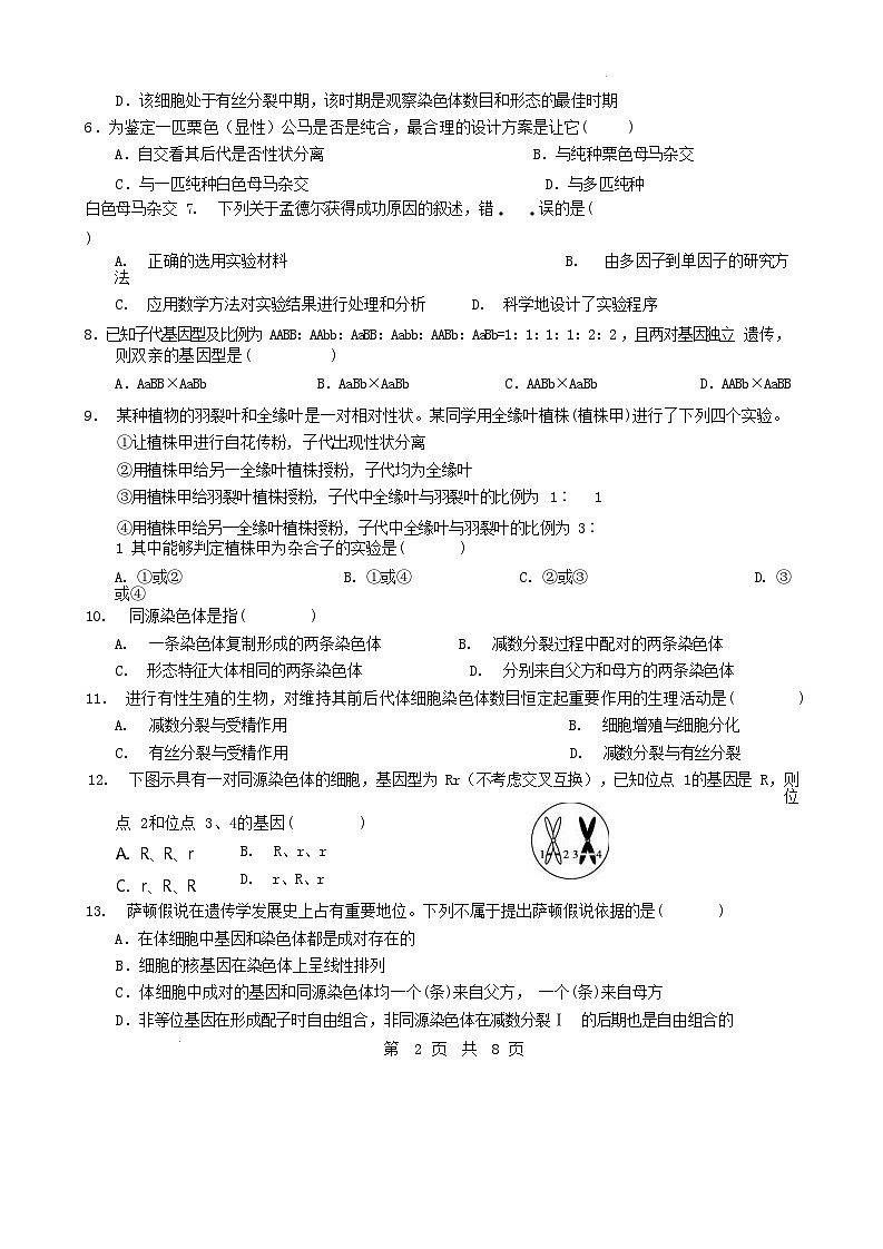 福建省厦门市泉州市2024_2025学年高一生物下学期4月期中测试第2页