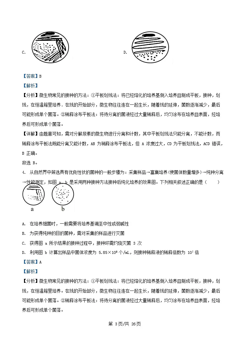 内蒙古自治区赤峰市红山区2024_2025学年高二生物下学期4月月考试题含解析第3页