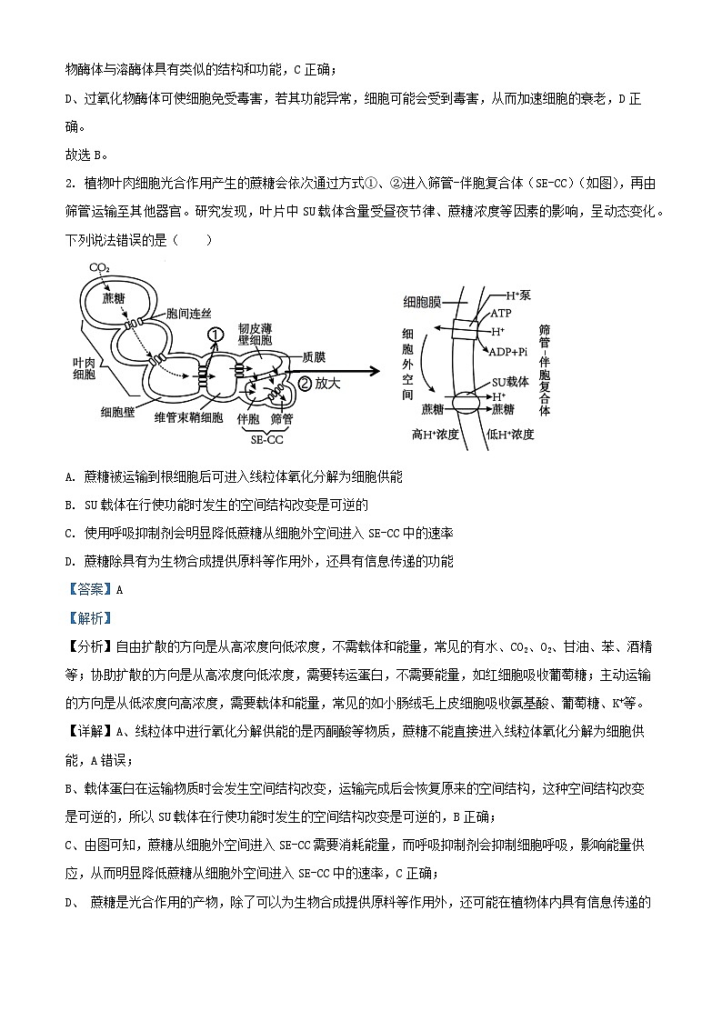 山东省青岛市2024_2025学年高三生物上学期期末调研试题含解析第2页