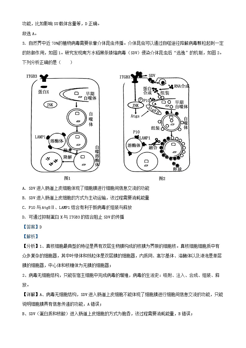 山东省青岛市2024_2025学年高三生物上学期期末调研试题含解析第3页