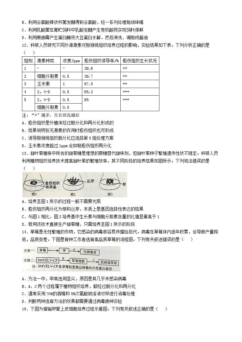 山东省日照市五莲县2024_2025学年高二生物下学期3月月考试题第3页