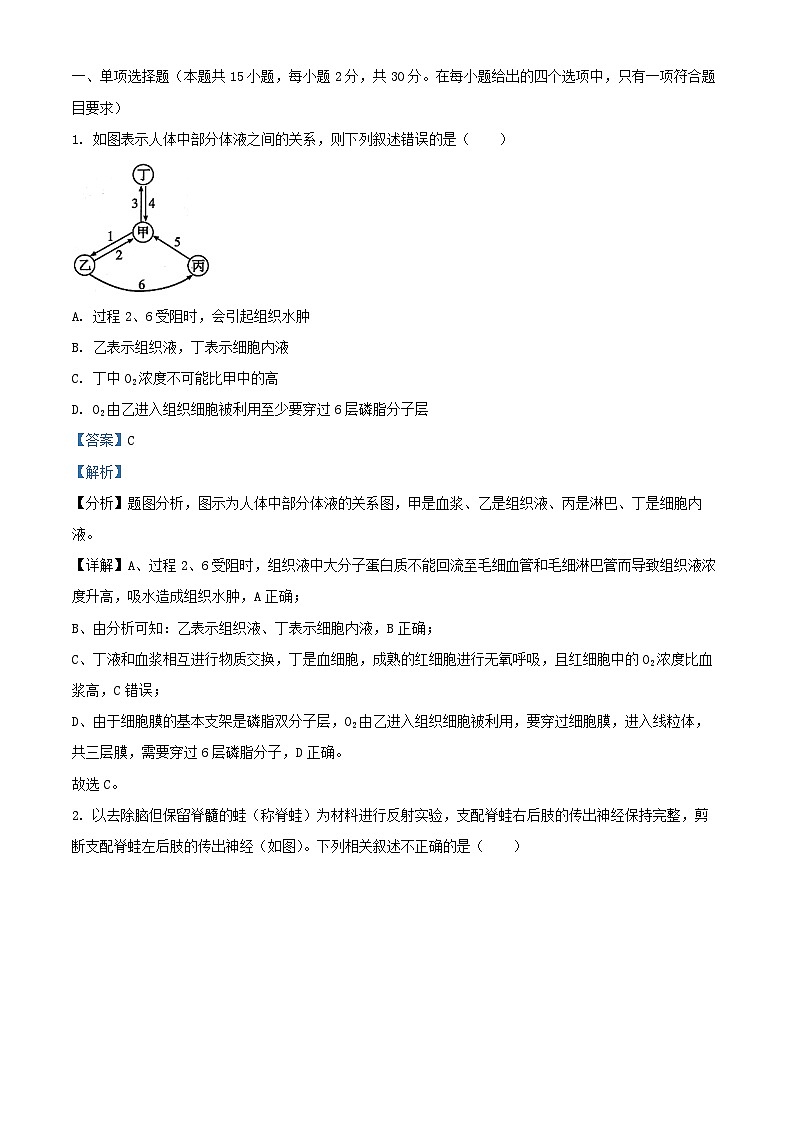 山东省济宁市2024_2025学年高二生物下学期开学考试试题含解析第1页