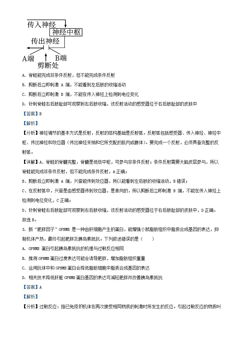 山东省济宁市2024_2025学年高二生物下学期开学考试试题含解析第2页