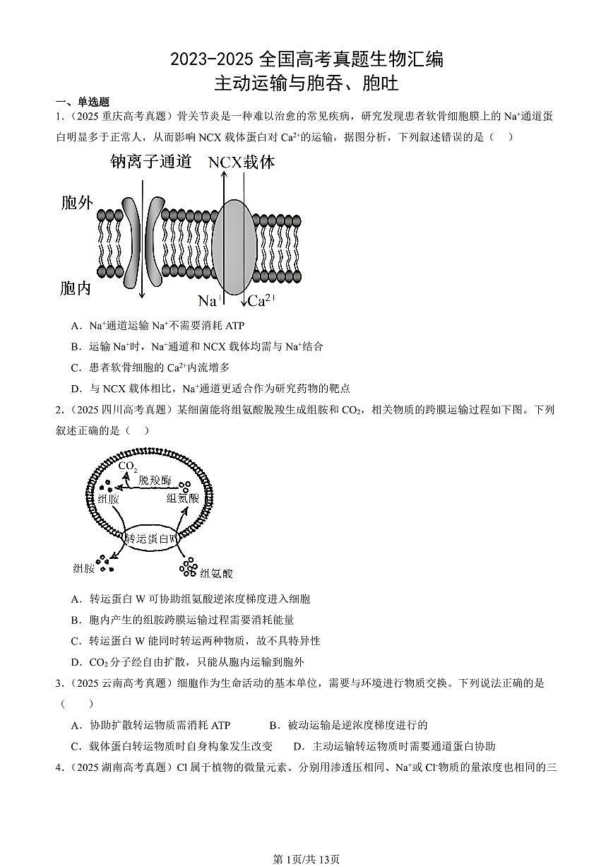 2023-2025全国高考真题生物汇编：主动运输与胞吞、胞吐  有答案解析第1页