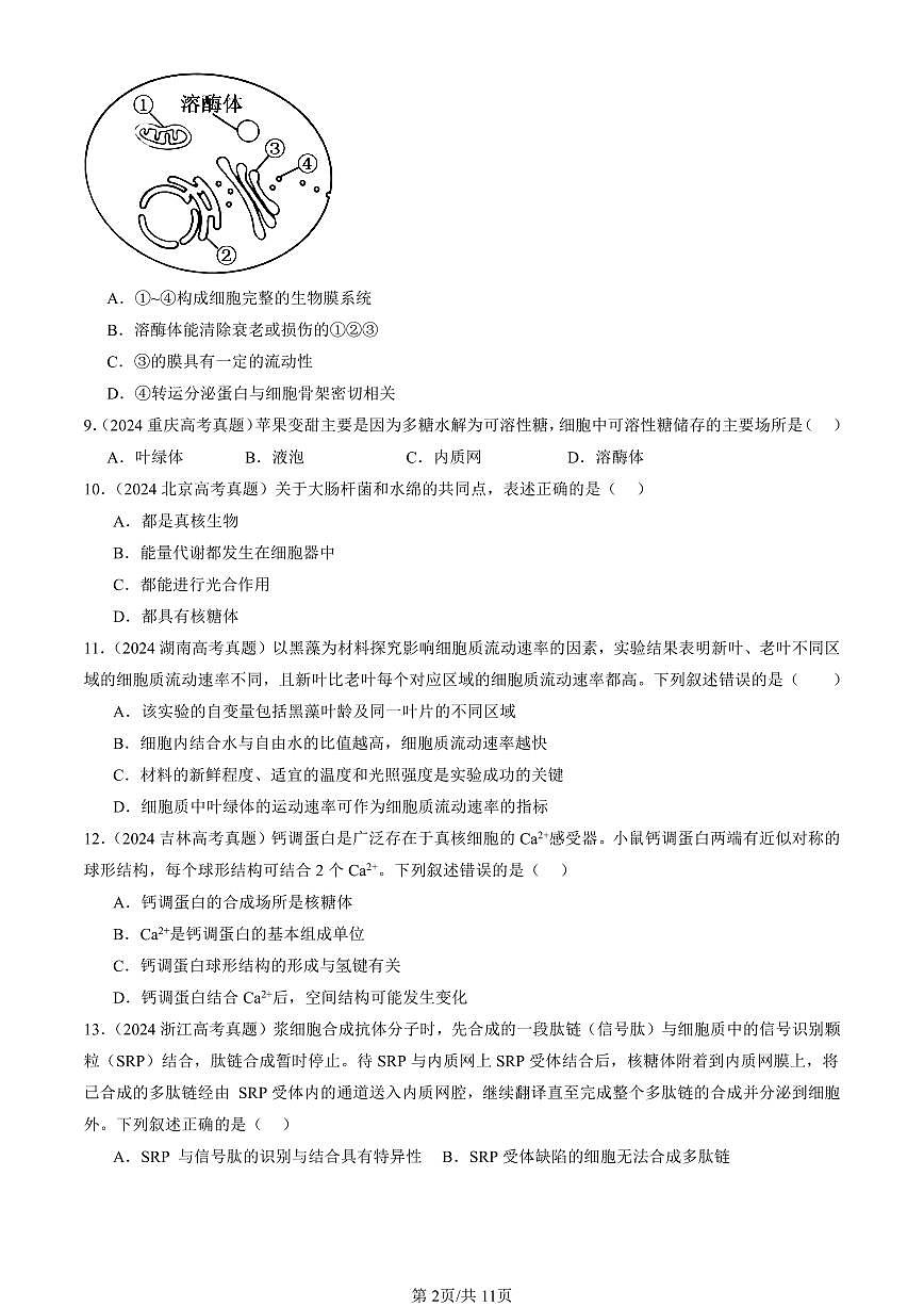 2023-2025全国高考真题生物汇编：细胞器之间的分工合作  有答案解析第2页