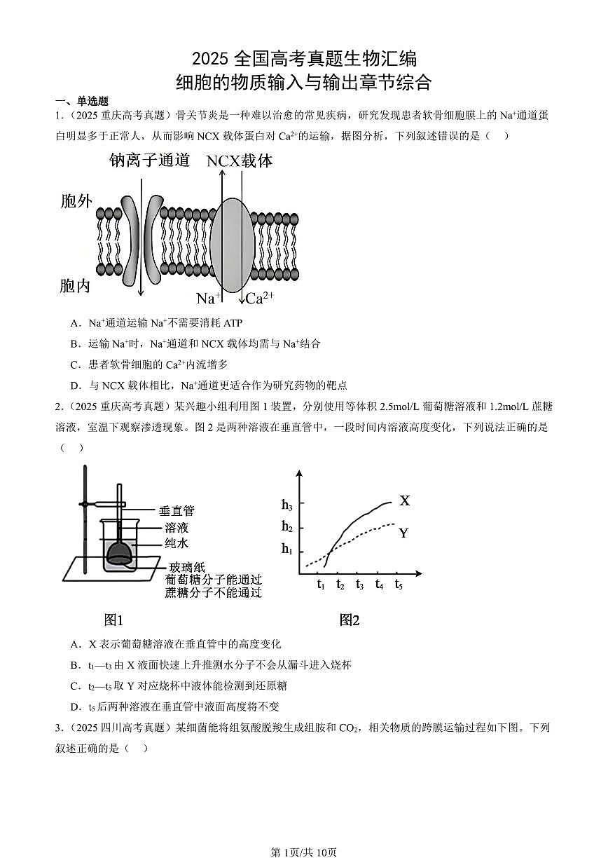 2025全国高考真题生物汇编：细胞的物质输入与输出章节综合  有答案解析第1页