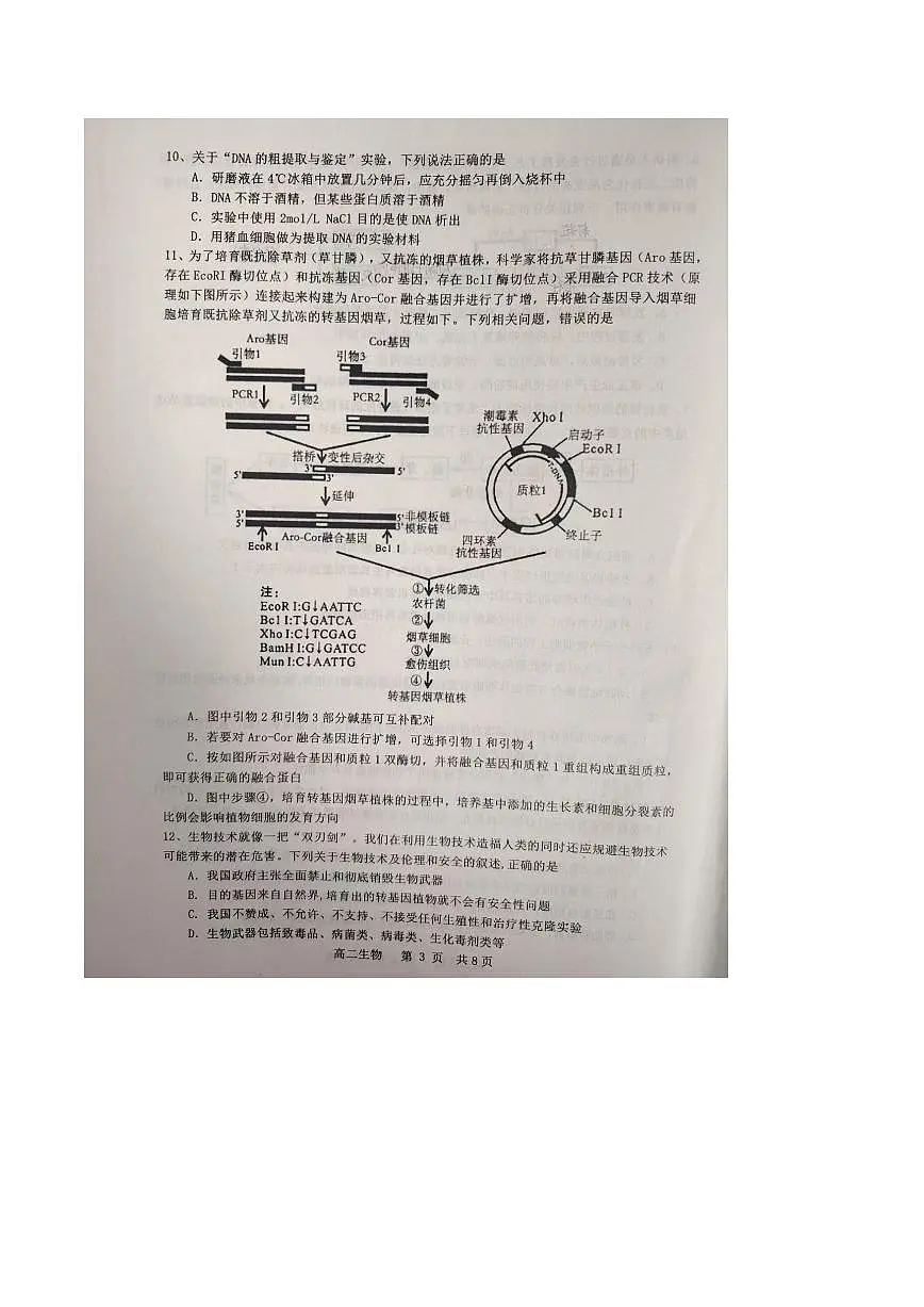 江西省景德镇市2024-2025学年高二下学期期末考试生物试题（PDF版附答案）第3页