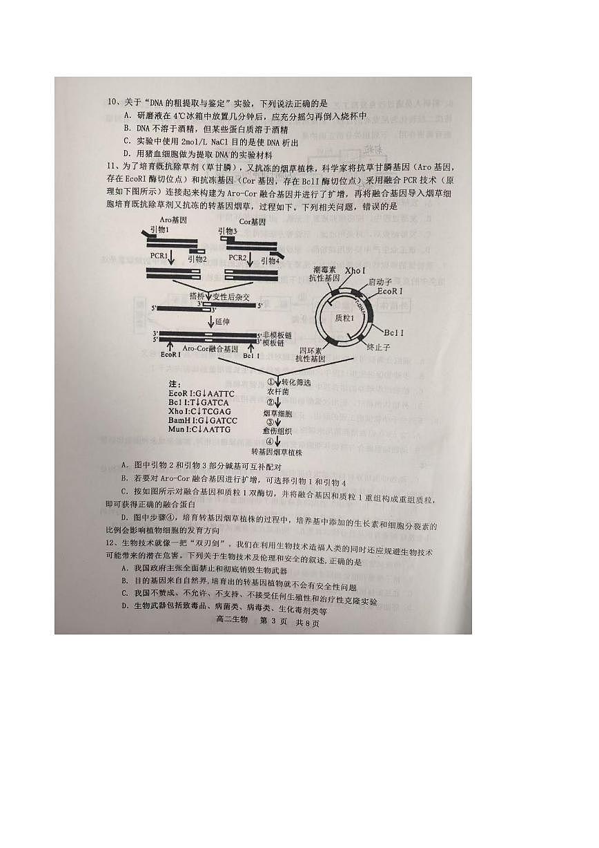 江西省景德镇市2024-2025学年高二下学期期末考试生物试题（PDF版附答案）第3页