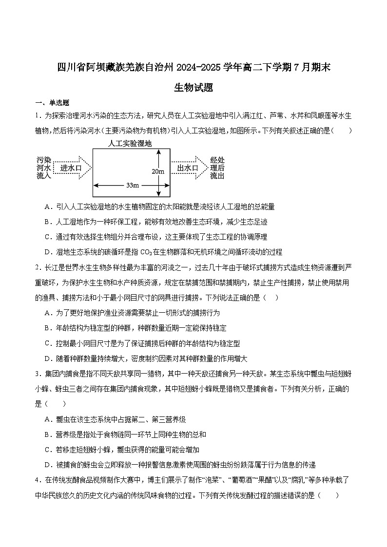 四川省阿坝藏族羌族自治州2024-2025学年高二下学期期末考试生物试题（Word版附答案）第1页