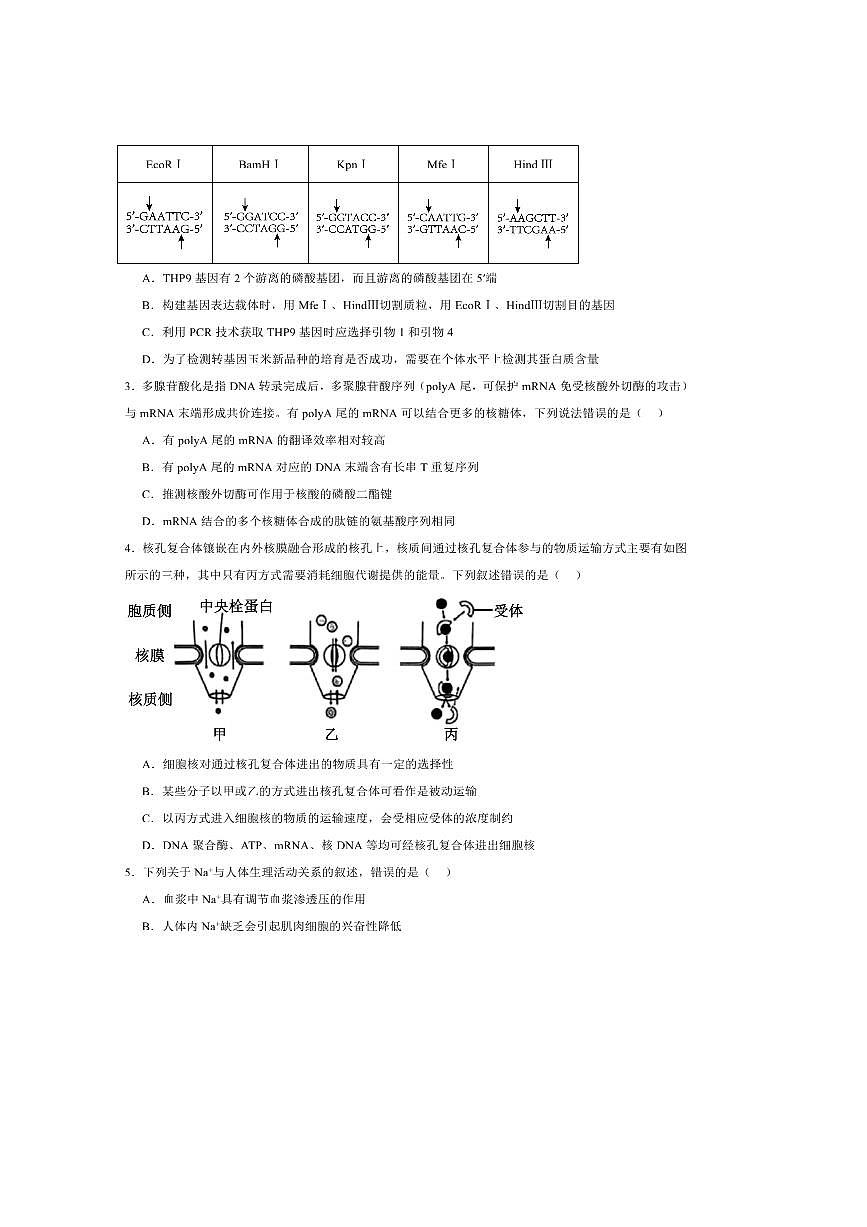 2026届甘肃省庆阳市七县一区高三上联考(月考)模拟生物试卷(含答案)第2页
