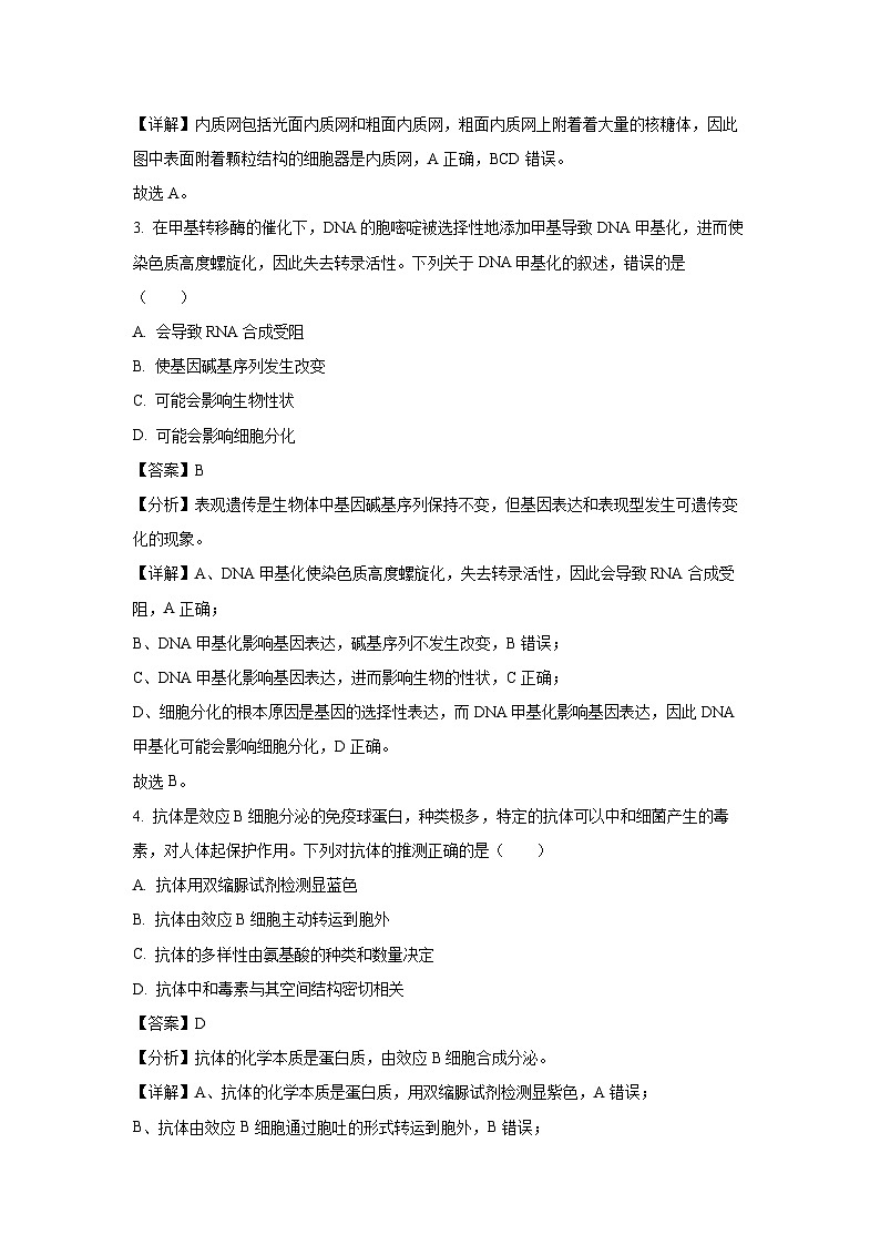 浙江省丽水市2024-2025学年高一下学期期末考试生物试卷（解析版）第2页
