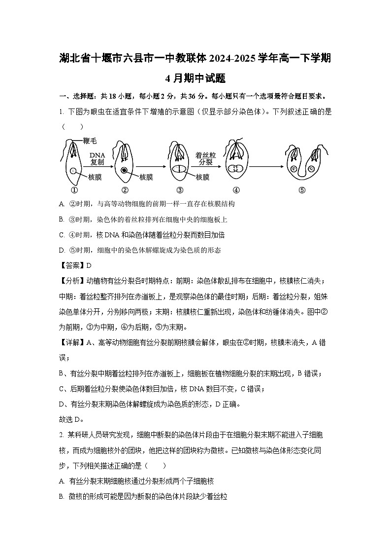 湖北省十堰市六县市一中教联体2024-2025学年高一下学期4月期中生物试卷（解析版）第1页