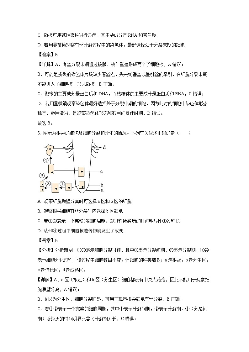 湖北省十堰市六县市一中教联体2024-2025学年高一下学期4月期中生物试卷（解析版）第2页