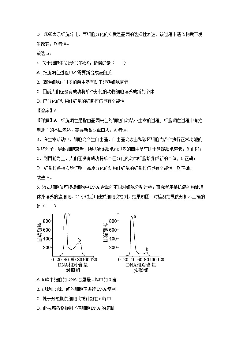 湖北省十堰市六县市一中教联体2024-2025学年高一下学期4月期中生物试卷（解析版）第3页