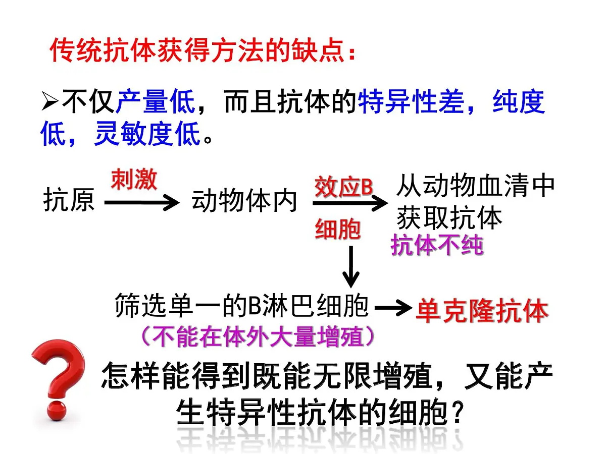 人教版 (新课标)高中生物选修3 2-2.2《单体克隆抗体》课件第6页