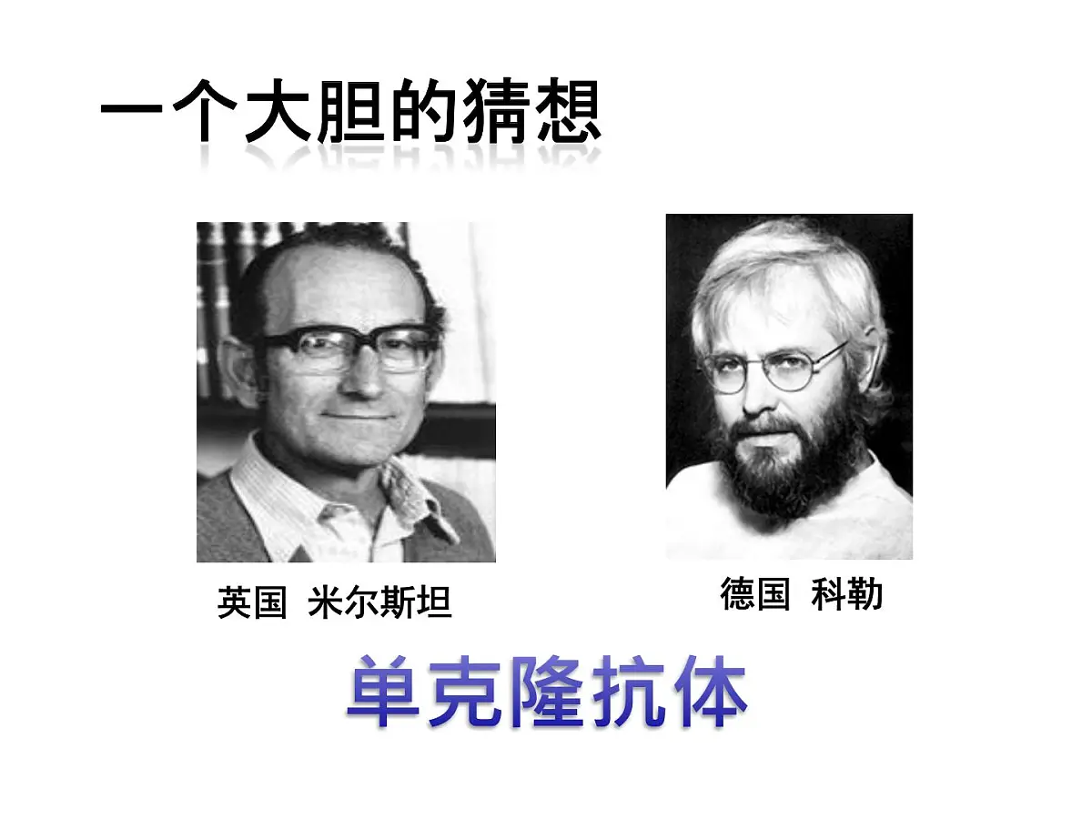 人教版 (新课标)高中生物选修3 2-2.2《单体克隆抗体》课件第7页