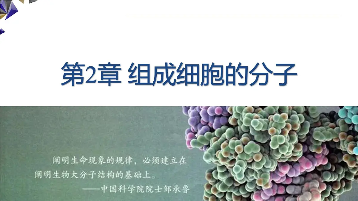 人教版高中生物必修1 2-4《 蛋白质相关计算（二）》课件第1页