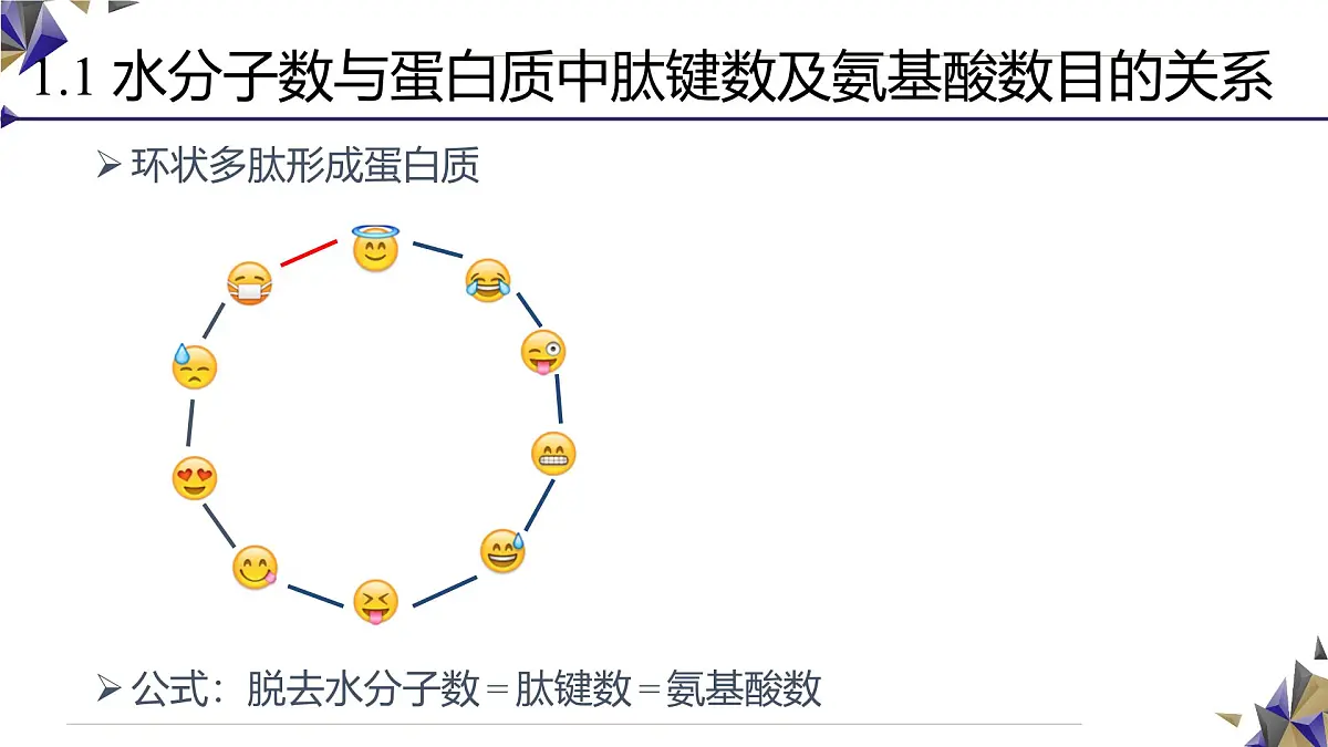 人教版高中生物必修1 2-4《 蛋白质相关计算（二）》课件第6页