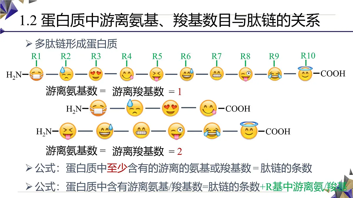 人教版高中生物必修1 2-4《 蛋白质相关计算（二）》课件第7页