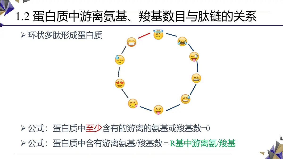 人教版高中生物必修1 2-4《 蛋白质相关计算（二）》课件第8页