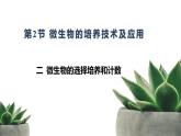 人教版高中生物选修3 1-2《微生物的培养技术及应用》第2课时 教学课件