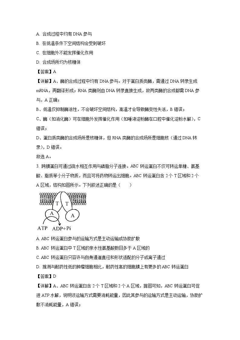 广西部分学校2025-2026学年高三上学期开学测试生物试卷（解析版）第2页