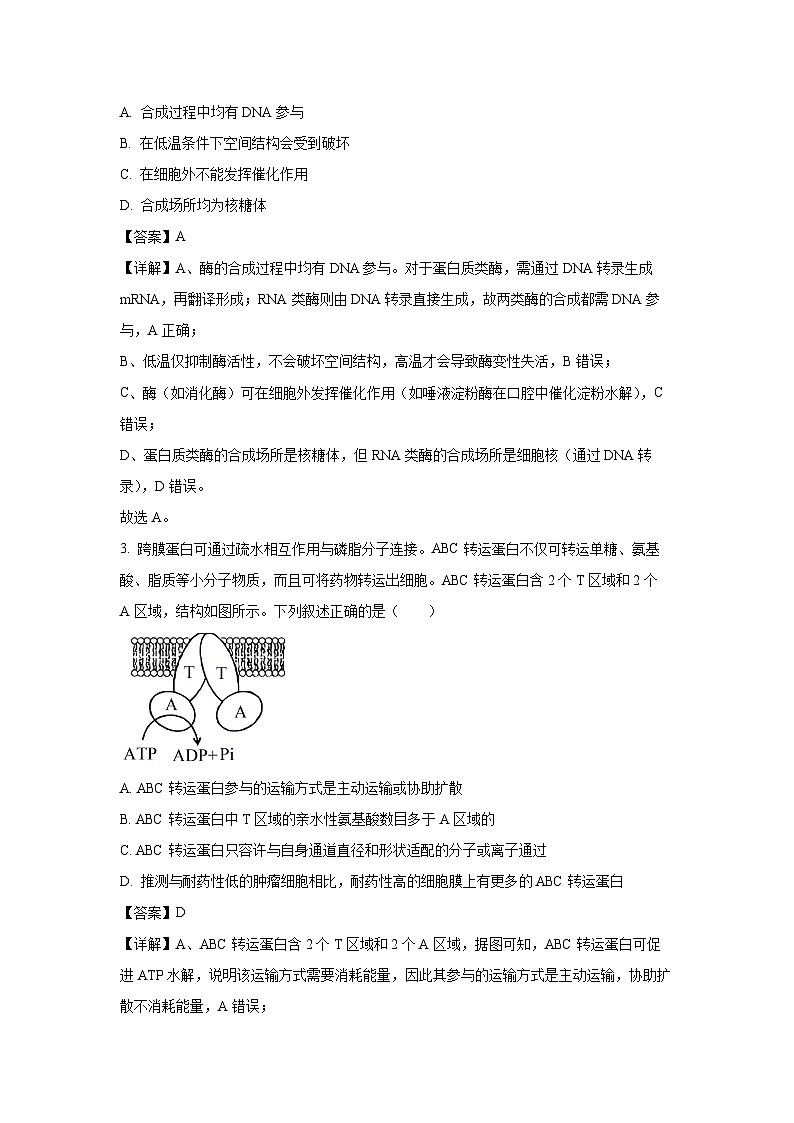 广西部分学校2025-2026学年高三上学期开学测试生物试卷（解析版）第2页