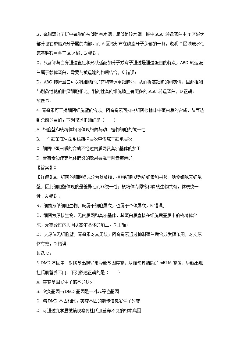 广西部分学校2025-2026学年高三上学期开学测试生物试卷（解析版）第3页