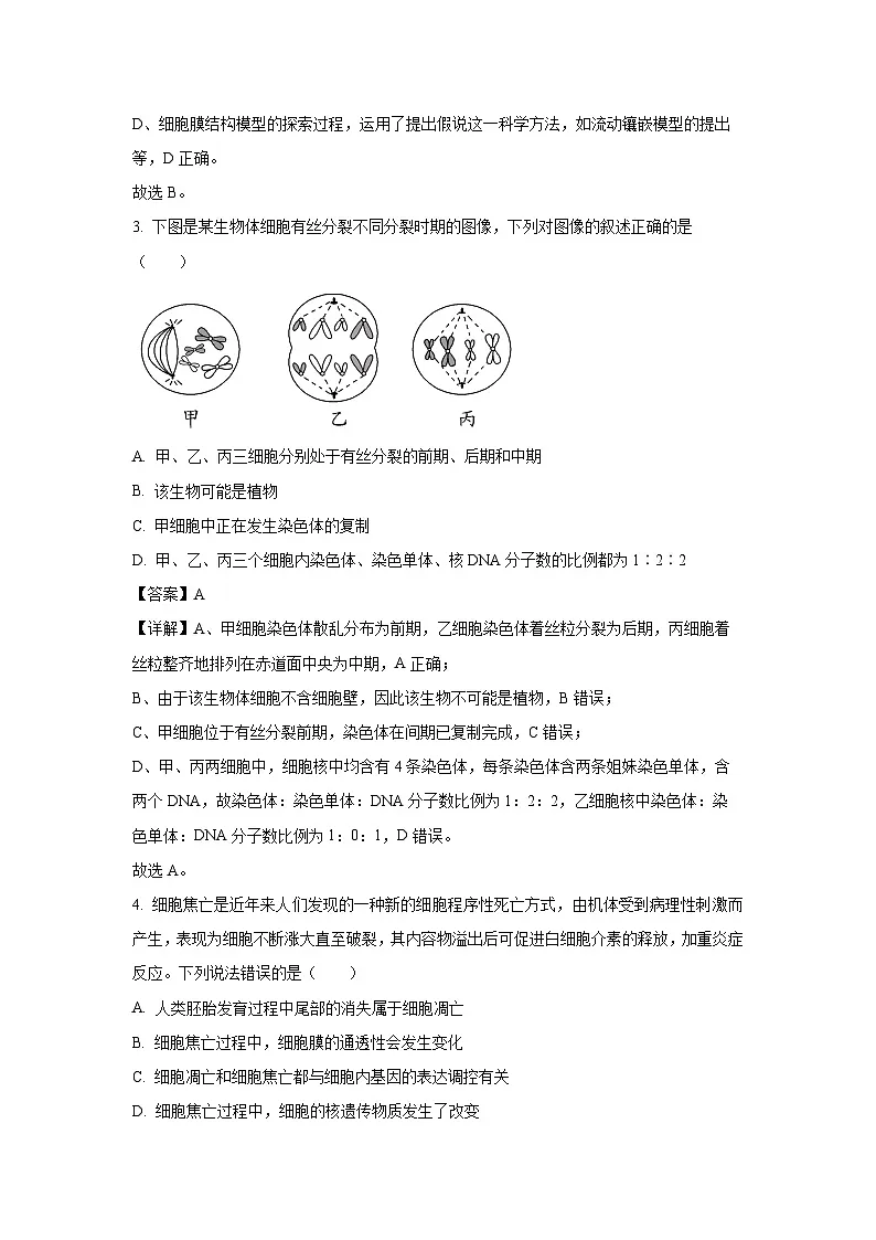 广东省普宁市勤建学校2024-2025学年高一下6月竞赛生物试卷（解析版）第2页
