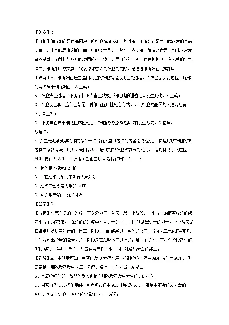 广东省普宁市勤建学校2024-2025学年高一下6月竞赛生物试卷（解析版）第3页