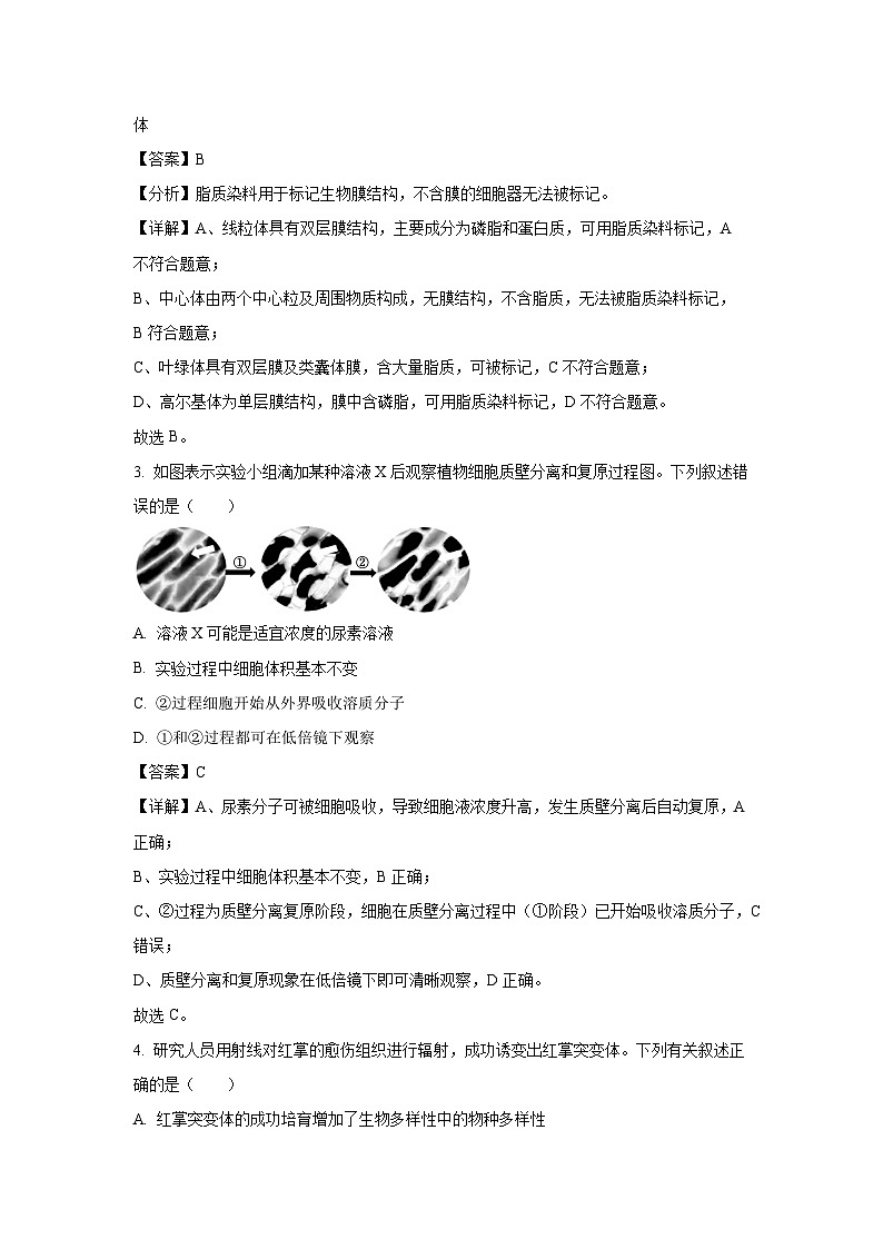 广东省衡水金卷2025-2026学年高三上学期8月联考生物试卷（解析版）第2页