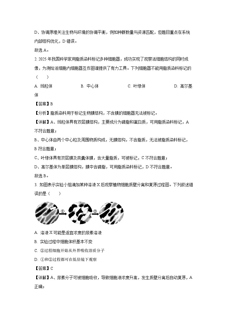 广东省部分学校2025-2026学年高三上学期开学测试生物试卷（解析版）第2页