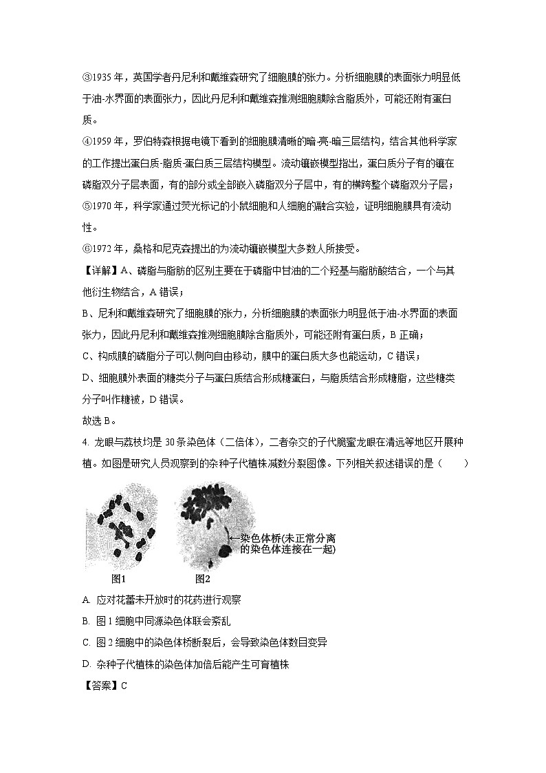 广东省八校联盟2025-2026学年高三上学期质量检测生物试卷（解析版）第3页