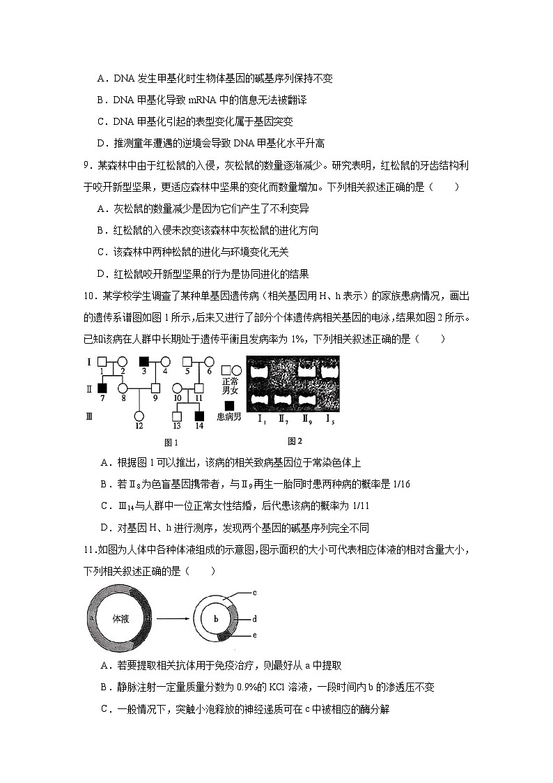 2025届江苏省徐州市高三下学期第二次模拟考试生物试卷（无答案）第3页