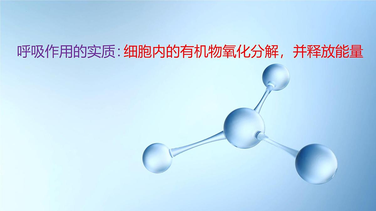 5.2细胞呼吸的原理和应用  课件-2025-2026学年上学期高一生物（人教版）必修1第2页