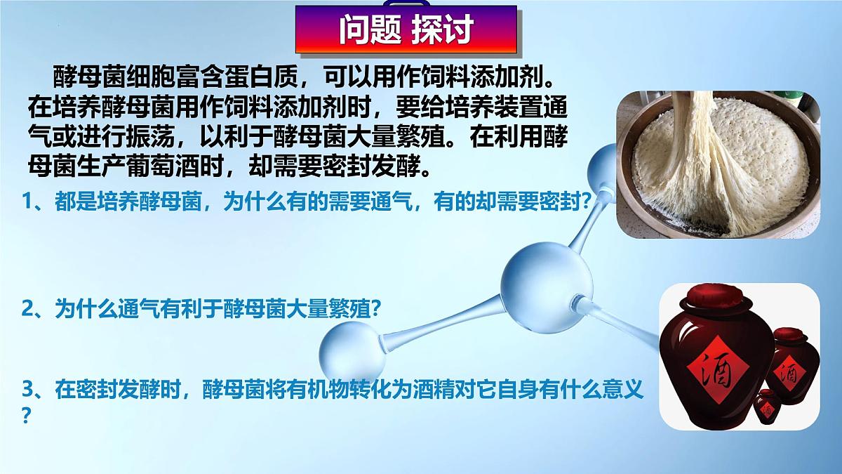 5.2细胞呼吸的原理和应用  课件-2025-2026学年上学期高一生物（人教版）必修1第3页