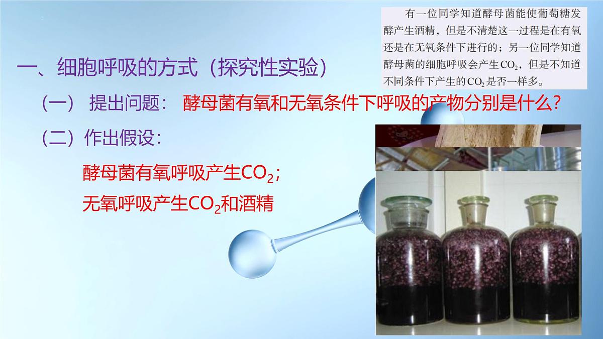 5.2细胞呼吸的原理和应用  课件-2025-2026学年上学期高一生物（人教版）必修1第6页