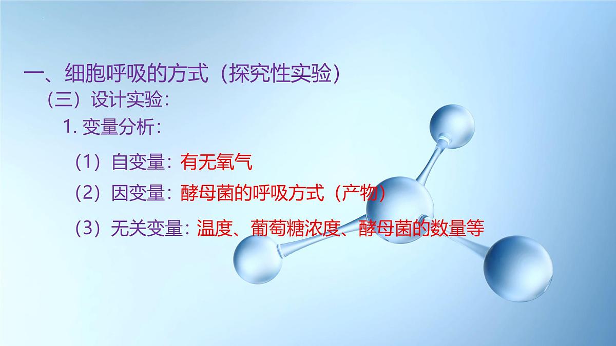 5.2细胞呼吸的原理和应用  课件-2025-2026学年上学期高一生物（人教版）必修1第7页