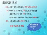 5.1降低化学反应活化能的酶 课件-2025-2026学年上学期高一生物（人教版）必修1