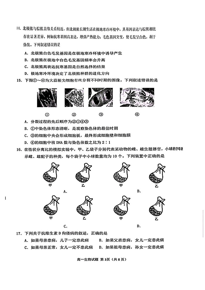 福建省泉州市2024-2025学年高一下学期7月期末考试 生物试卷第3页