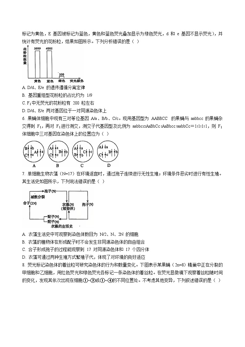 四川省德阳市第五中学2024-2025学年高一下学期期末模拟考试生物试卷（含答案）第2页