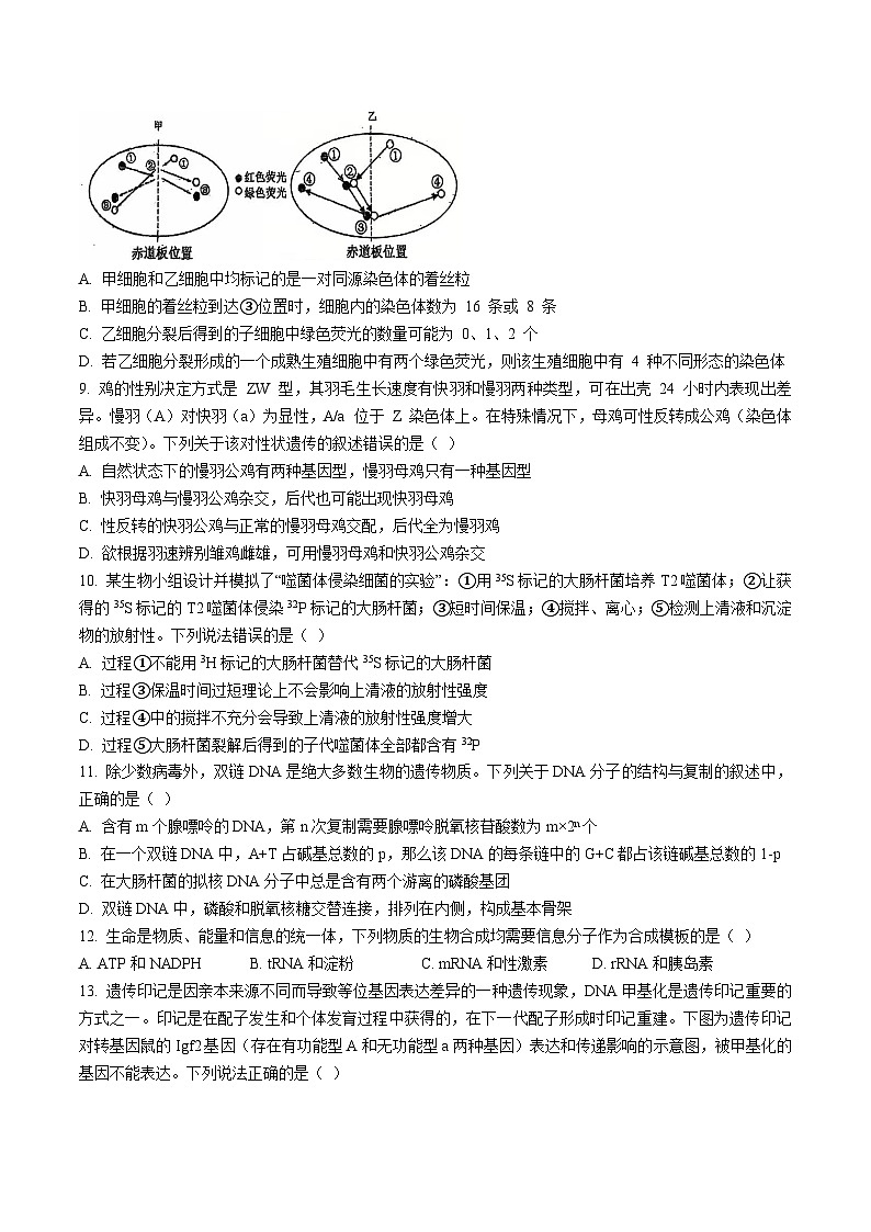 四川省德阳市第五中学2024-2025学年高一下学期期末模拟考试生物试卷（含答案）第3页