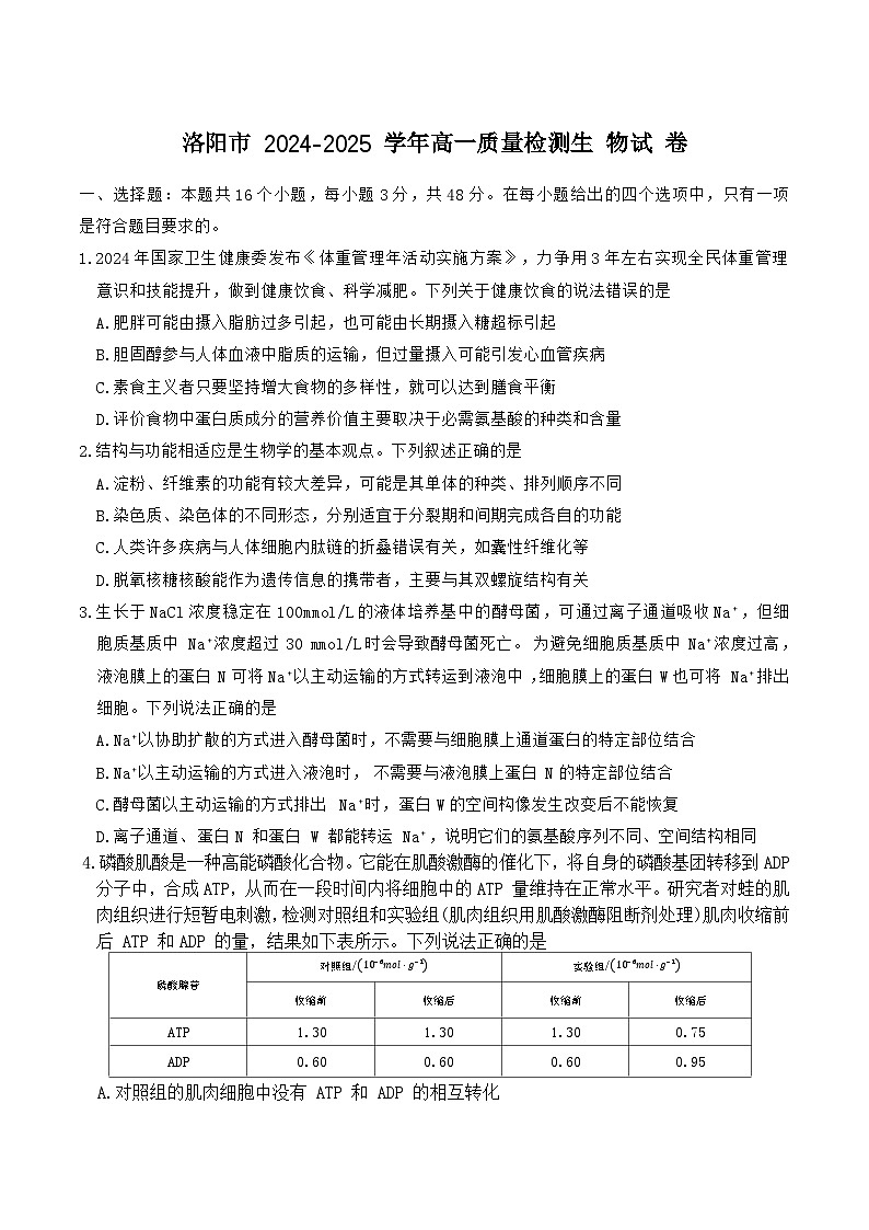 河南省洛阳市2024-2025学年高一下学期期末质量检测生物试卷（含答案）第1页