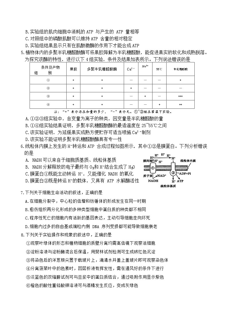 河南省洛阳市2024-2025学年高一下学期期末质量检测生物试卷（含答案）第2页