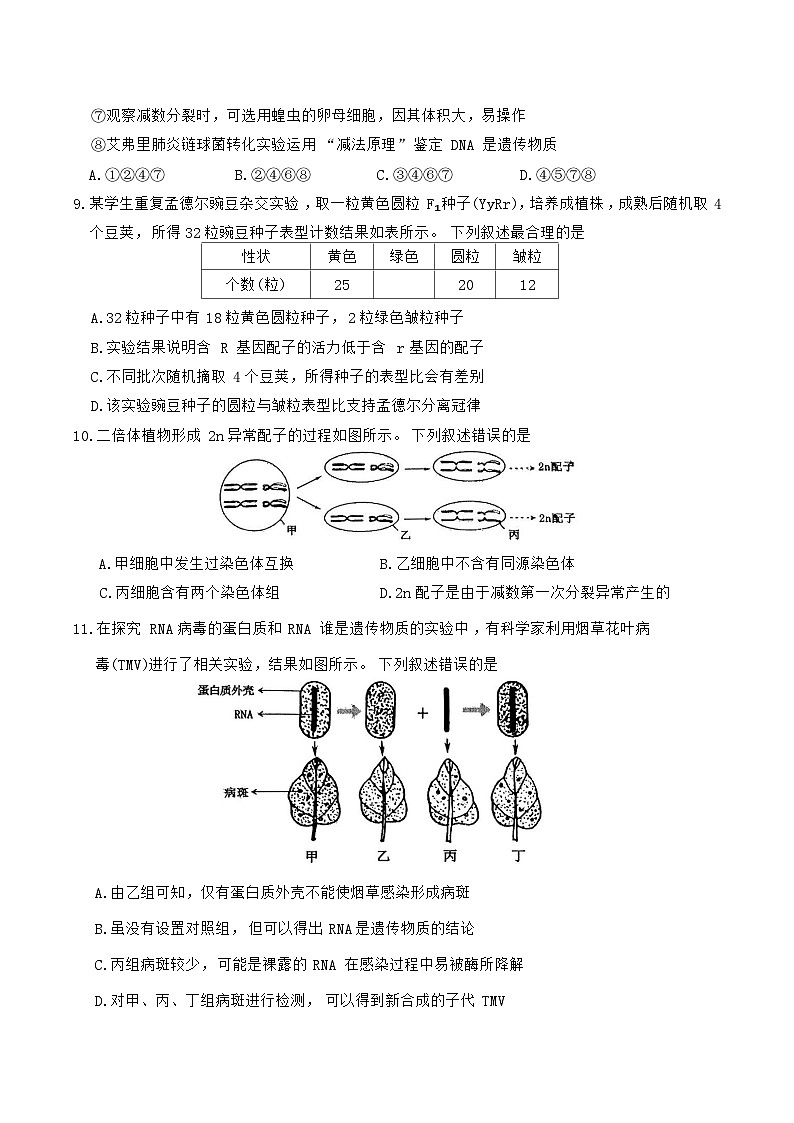 河南省洛阳市2024-2025学年高一下学期期末质量检测生物试卷（含答案）第3页