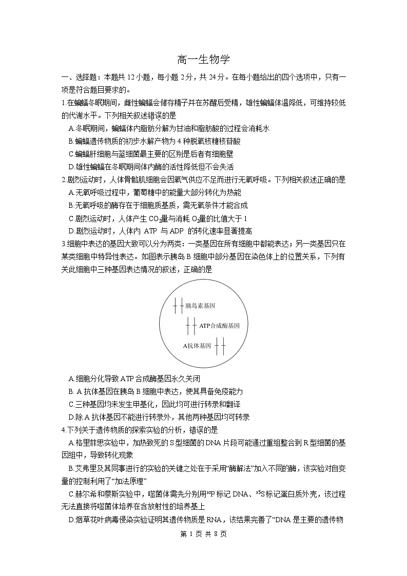湖南省2024-2025学年高一下学期期末考试生物试题（含答案）第1页